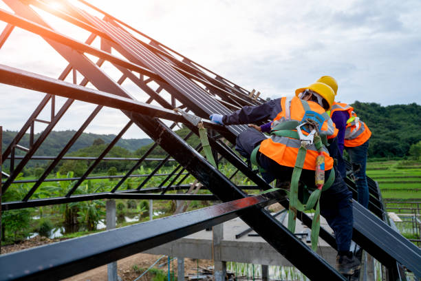 Best Roof Repair Services  in Scandia, MN