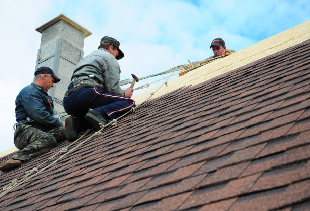 Best Storm Damage Roof Repair  in Scandia, MN