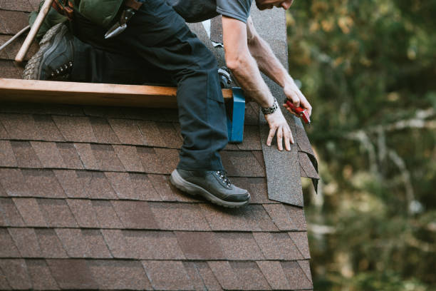 Best Metal Roofing Contractor  in Scandia, MN